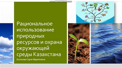 Использование природных методов для восстановления экосистемы в искусственном биотопе