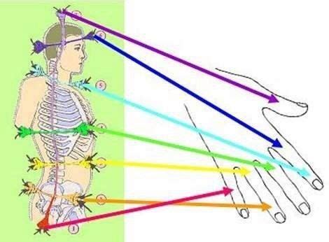 Использование рук и пальцев для оценки состояния энергетических центров