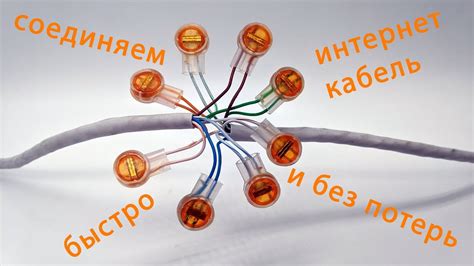 Использование специальных препаратов для эффективного устранения остриц