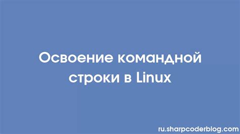 Исследование командной строки Linux: начало пути