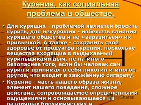 Исследование причин и последствий поведения собак, принимающих пищу с земли