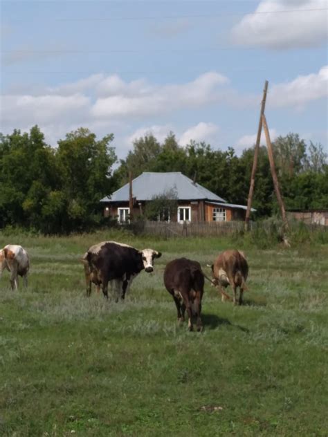 Исторические изменения в титулах проживающих в населенном пункте Речица