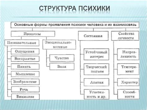 Историческое развитие и структура центрально управляемого народного государства