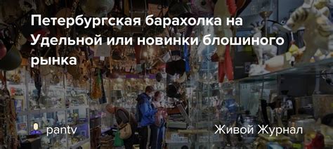 История блошиного рынка на Удельной: от происхождения до современности