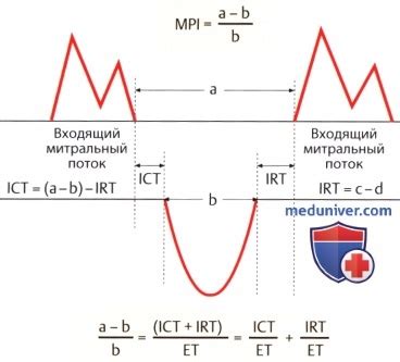 Какие аспекты влияют на сохранение глобальной систолической функции лж