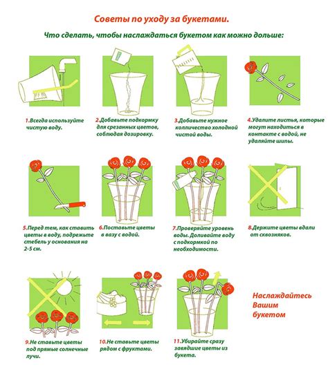 Как вести уход за цветами в подоконнике: секреты процветания и красоты