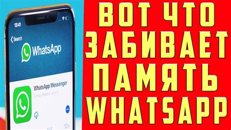 Как грамотно очистить WhatsApp и обеспечить приватность личной информации