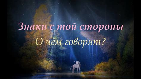 Как использовать информацию из снов для улучшения взаимоотношений со второй половиной