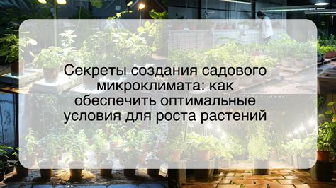 Как обеспечить оптимальные условия для донки и сохранить ее здоровье