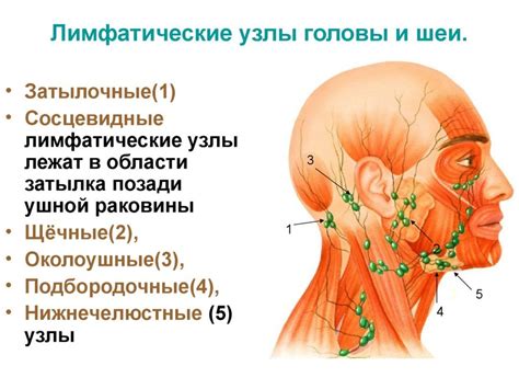 Как определить воспаление лимфоузлов в области горла