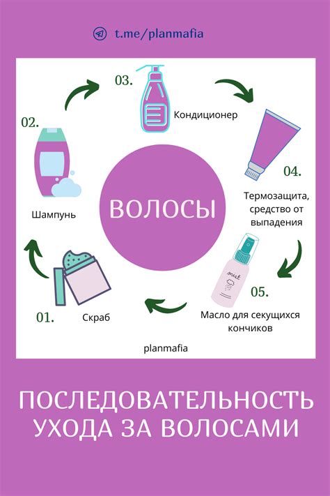 Как определить оптимальное масло для ухода за волосами: полезные рекомендации и советы