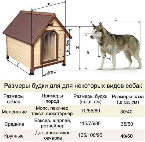 Как определить размер свитера для питомца и выбрать подходящие материалы