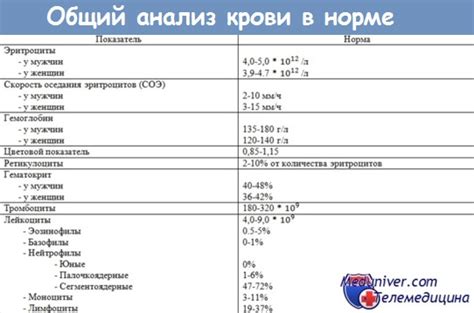 Как понять, что означают показатели задержки в Майнкрафте