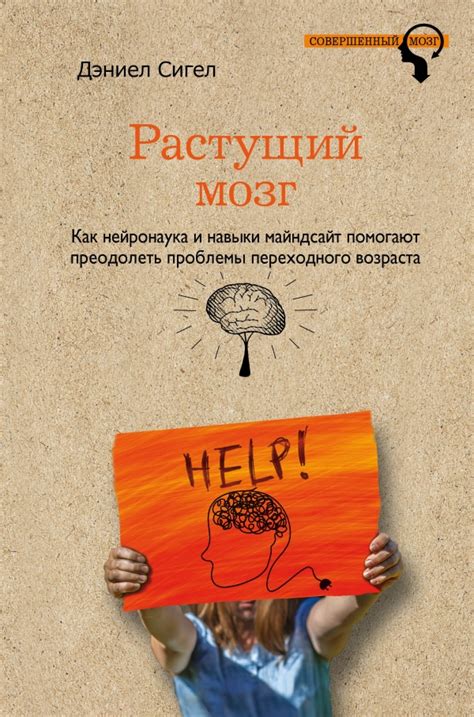 Как преодолеть проблемы с низким сливом, засорами и другими расстройствами