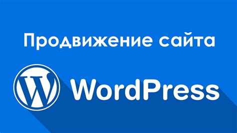 Как сохранить и использовать лянгу корректно: подсказки и рекомендации для всех ситуаций