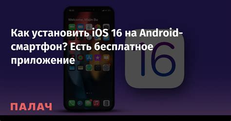 Как установить популярное медиа-приложение на устройство Apple