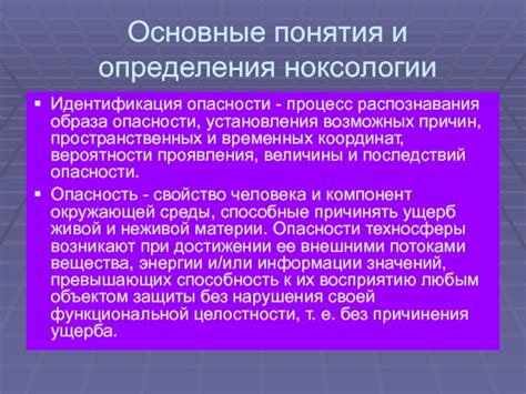 Категории слов и способы их определения: основные принципы распознавания