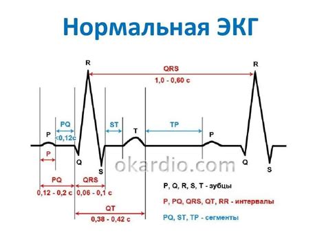 Клинические вопросы нагрузочного режима при проведении кардиограммы