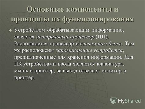 Ключевые компоненты и основные принципы функционирования инновационного решения