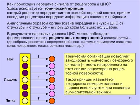 Кодировка брелока на основе сигнала сигнализации: принцип работы и возможности