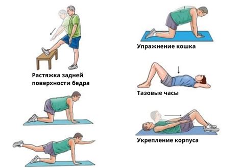 Комплекс упражнений для укрепления организма и повышения тонуса