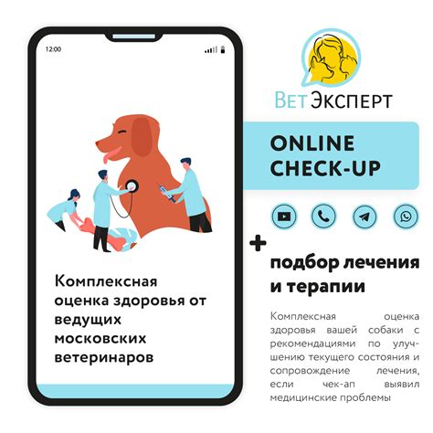 Консультация с ветеринарным специалистом и применение специальных препаратов