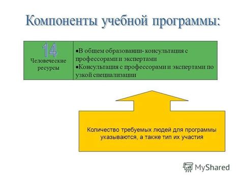 Консультация с профессионалами и экспертами