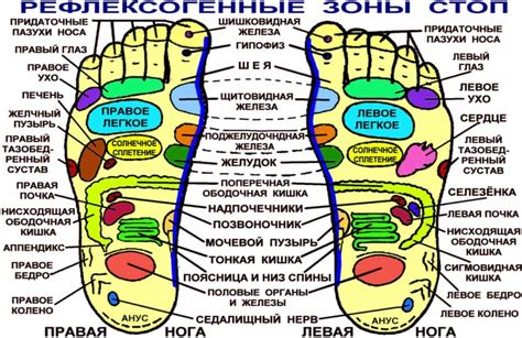 Массаж и подвижность для активации роста ногтей на стопах