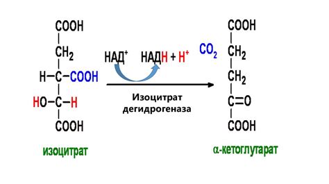 Медицинское использование глюкозы