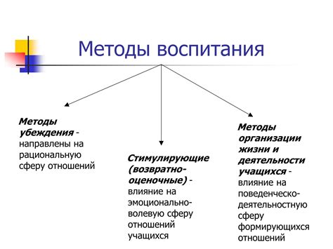 Методы воспитания и тренировки молодых пернатых