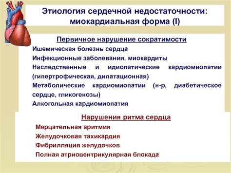 Методы определения и выявления кардиомиопатии заключительной недостаточности