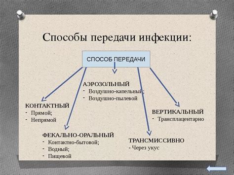 Механизмы передачи изменений и вариаций генома
