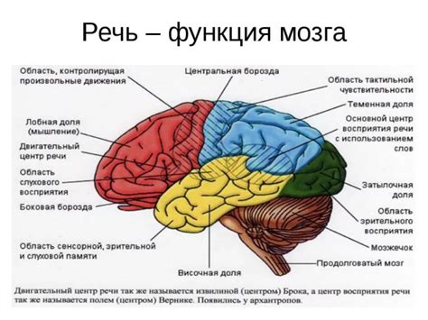 Механизмы проявления внутренней речи