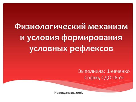 Механизмы формирования условных рефлексов: основные принципы и процессы