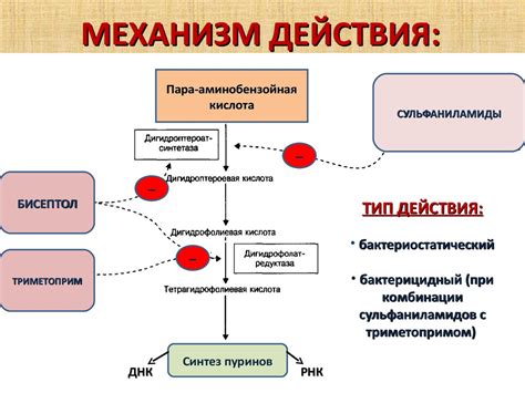 Механизм действия гарпуна