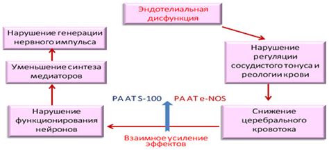 Механизм действия дивазы