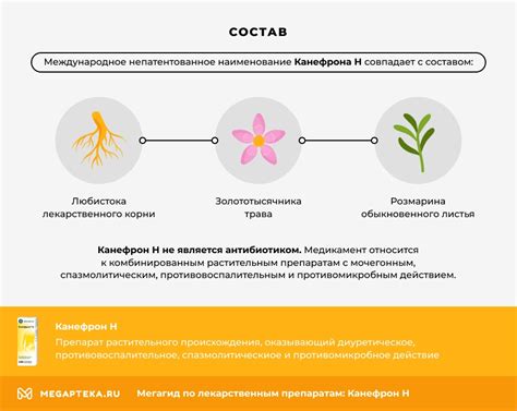 Механизм действия и состав препарата "Канефрон"