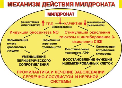 Механизм действия нимесила на организм: как происходит воздействие препарата