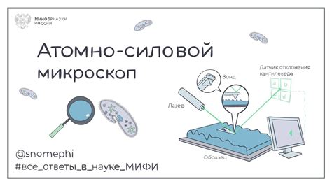 Микроскоп: революция в науке благодаря открытию Т. Шванна