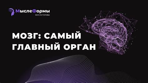 Мозг: главный орган обработки и анализа разнообразных видов сведений