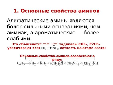 Молекулы аминов: основные структурные и химические особенности