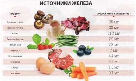 Мясо как источник железа для поддержания кроветворения