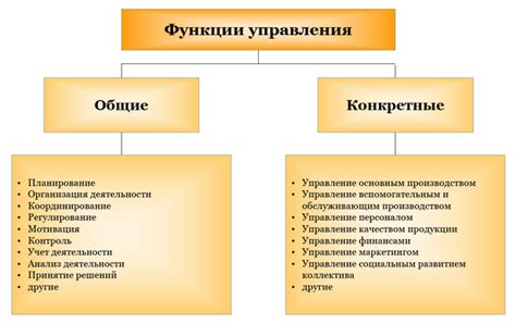 Назначение и функции организации