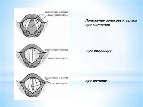 Настройка голосового общения для вашего ребенка