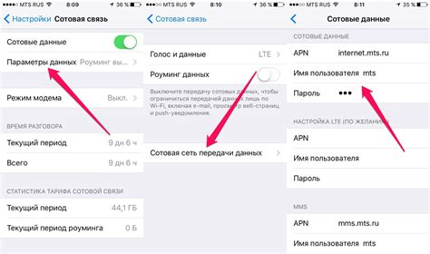 Настройка мобильного интернета на устройствах с iOS