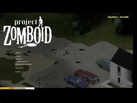 Настройка управления и команд в игре Project Zomboid