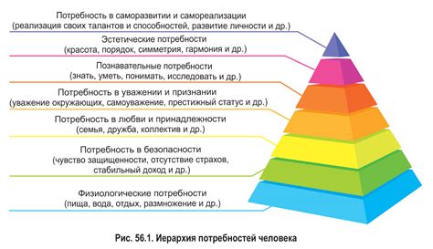 Насыщение и голод: оптимальное удовлетворение потребности в пище