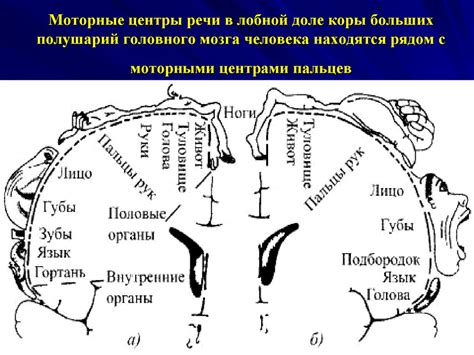 Научные исследования о глиозе в лобной доле