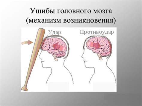 Начало обычной жизни и активностей после повреждения головного мозга