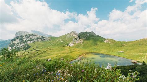 Негативное влияние этих существ на игровой процесс